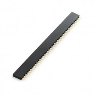 Dupont Jumper Header Strip Female 40pin 2.54mm 