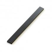 Dupont Jumper Header Strip Female 40pin 2.54mm 